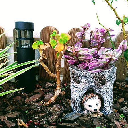 Sintra Cozy Suite エクステリア 写真